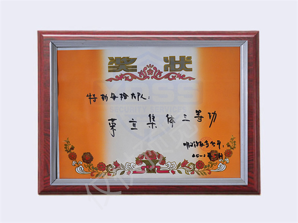 2012特勤安检大队