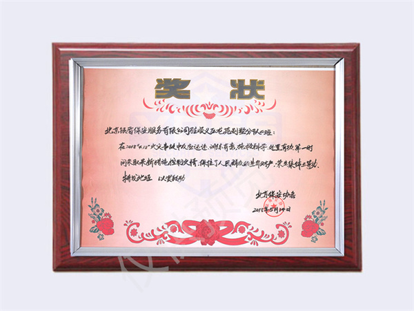 北京永兴集团yx06保安服务有限公司荣获2018龙苑别墅分队二班集体三等功