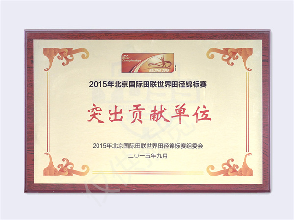2015国际田联世锦赛突出贡献单位