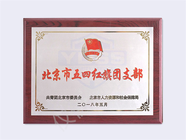 2018北京五四红旗团支部